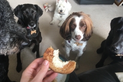 Toast-with-Maddie-Jess-Daisy