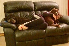 Cuddles-Bruno-Susie