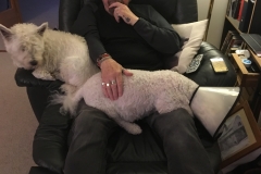 Cuddles-Daisy-Faith-2