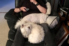 Cuddles-Daisy-Faith