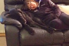 Cuddles-Sprocket